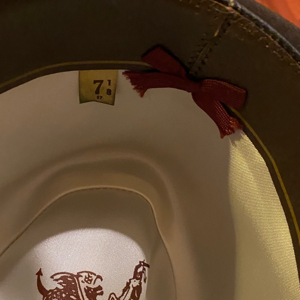 Allyn St. George Beautiful Fedora Hat - Picture 3 of 5